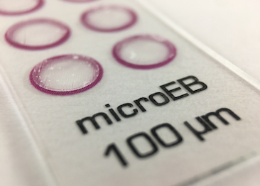 microeb and microwell arrays